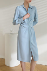 Maxine Acetate Midi Dress