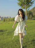 Forest Organza Dress