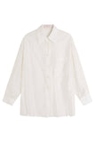 Fresh Sheer Organza Shirt